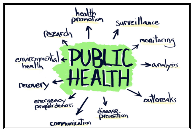 public health ethics phd